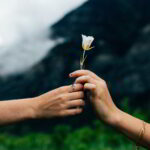 Glücksforschung - Warum schenken glücklich macht: Nahaufnahme zweier Hände. Die eine überreicht der anderen eine einzelne weiße Blume. Im Hintergrund unscharf Wolken, Berge und Grün. Wer anderen selbstlos eine Freude macht, fühlt sich selbst glücklicher. Foto: Evan Kriby on Unsplash