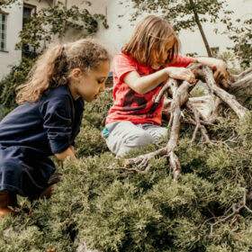 Das tut gut: Kinder klettern auf einen Baum. Spielen ist ein Kinderrecht, darauf macht das Deutsche Kinderhilfswerk am Weltspieltag aufmerksam. Das Deutsche Kinderhilfswerk ist Mitglied der Initiative 