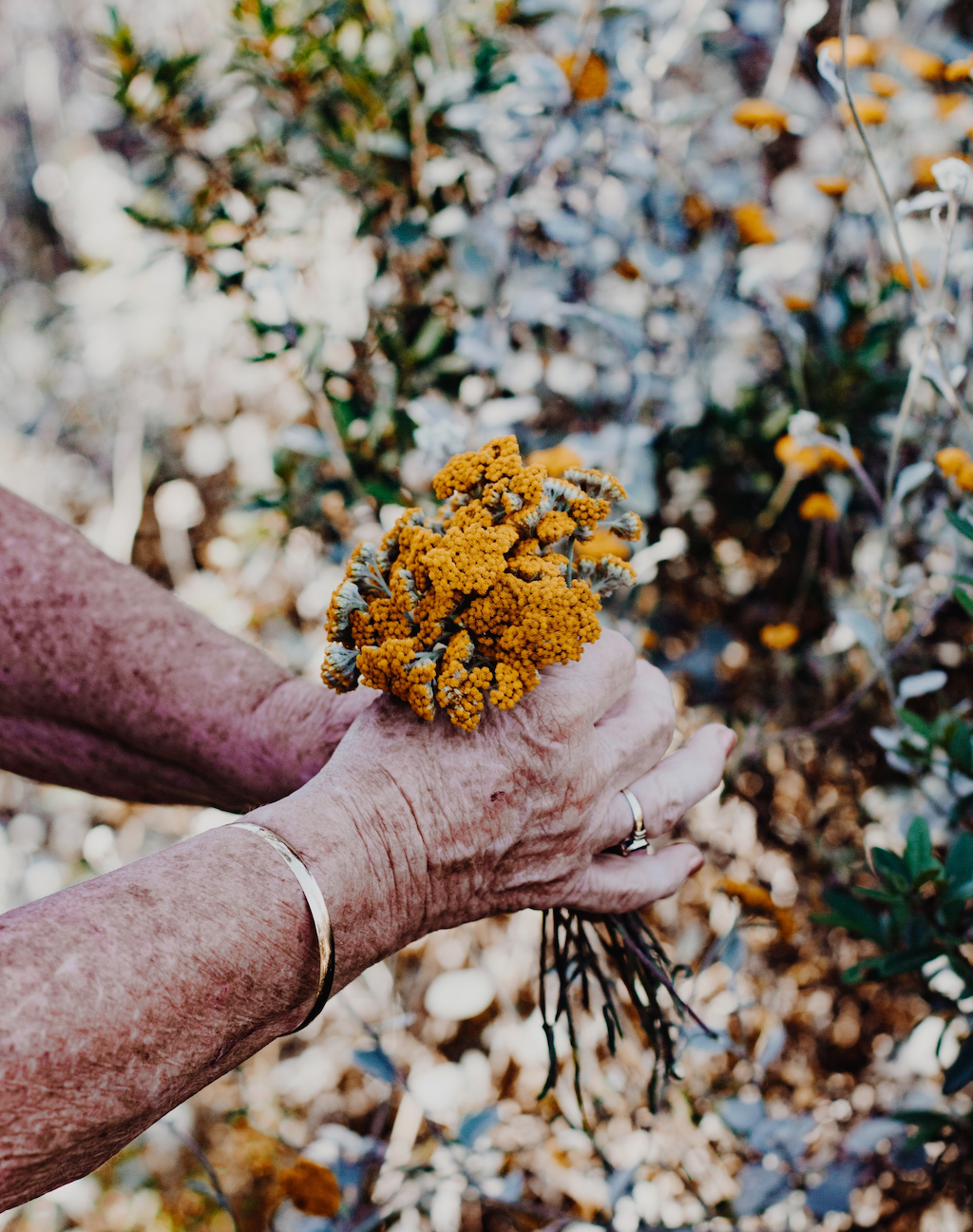 Zwei Hände pflücken einen Blumenstrauß: Was ist mein guter Rat für die Zukunft?